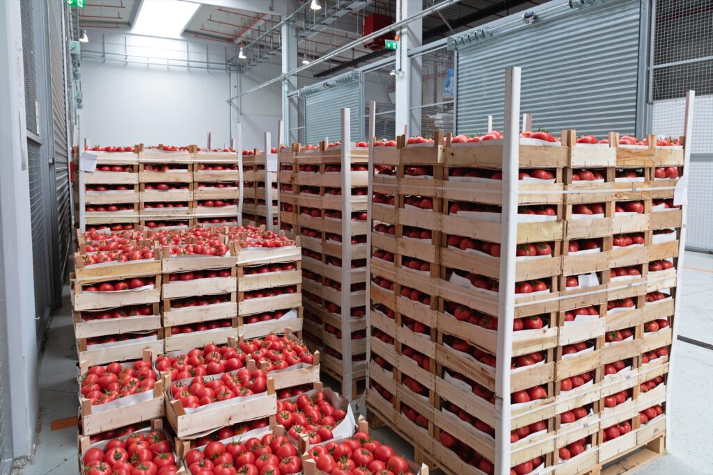 Crates of tomatoes ready to be imported